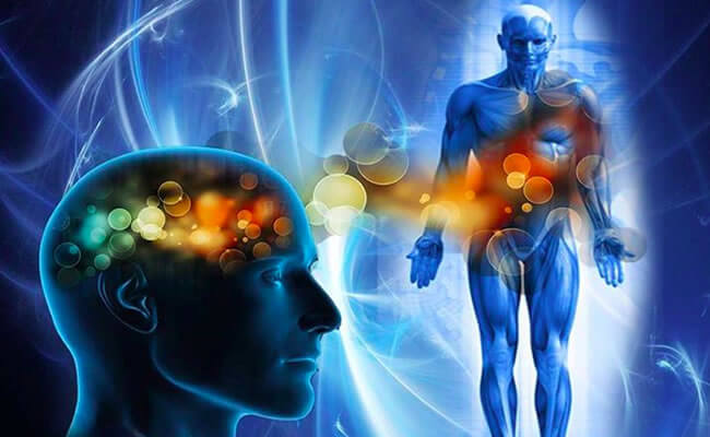 Conheça as doenças e suas&nbsp;curas