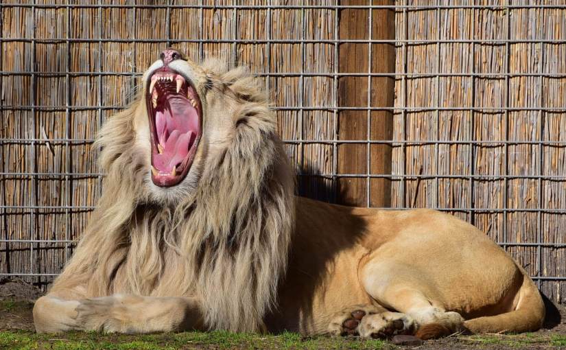 O que a expressão “estou cansado” significa para alguém com ansiedade ou&nbsp;depressão